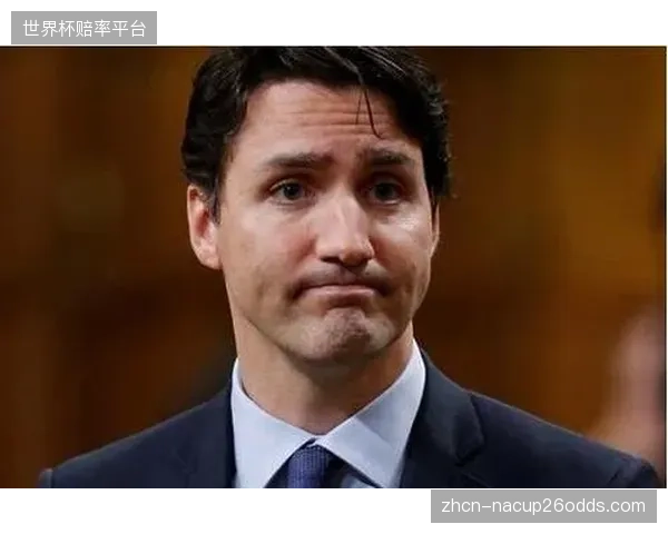 加拿大队平均年龄结构合理，高达九成球员效力于海外联赛，大赛经验成为优势。